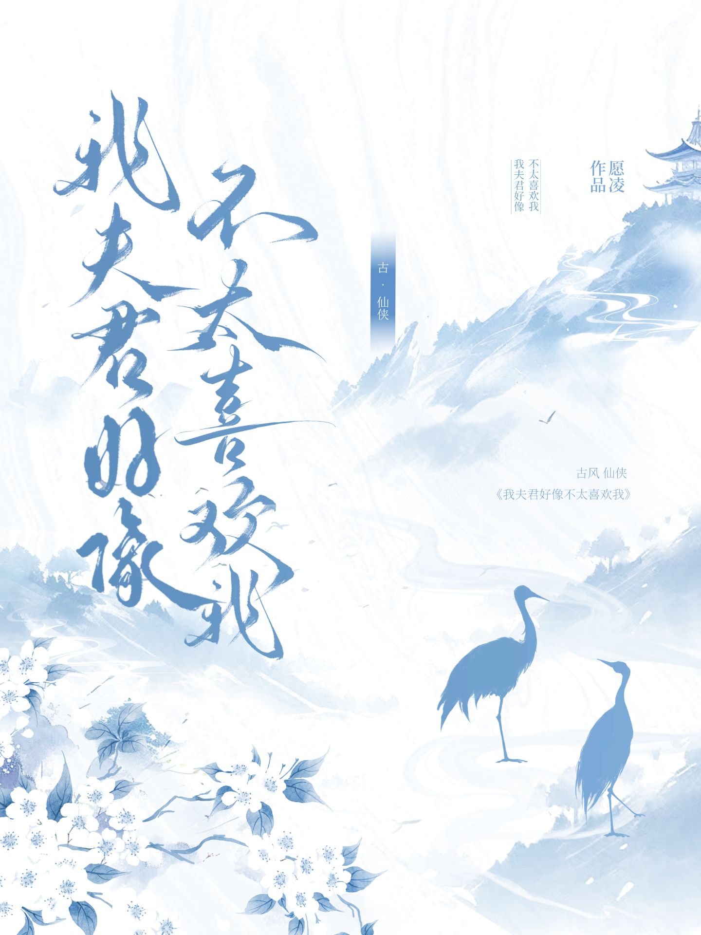 我夫君好像不太喜欢我